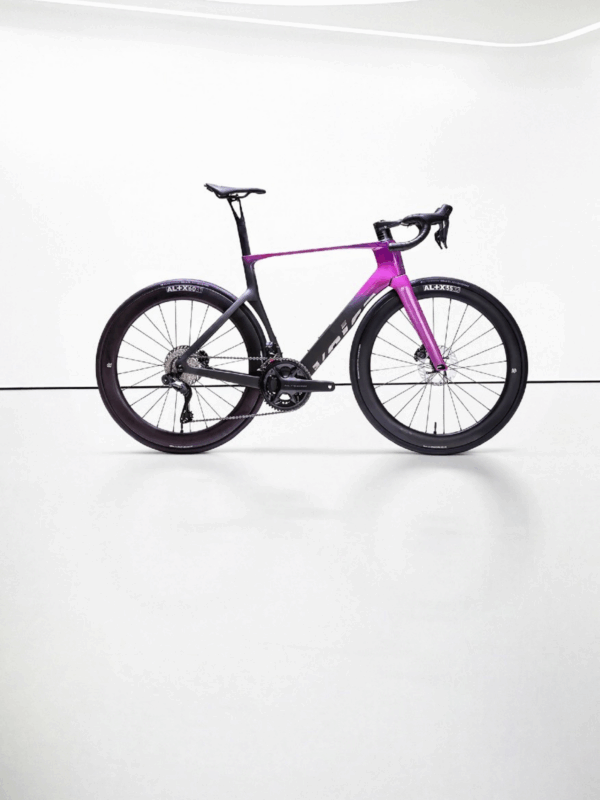 Cuadro Echo (Carretera)