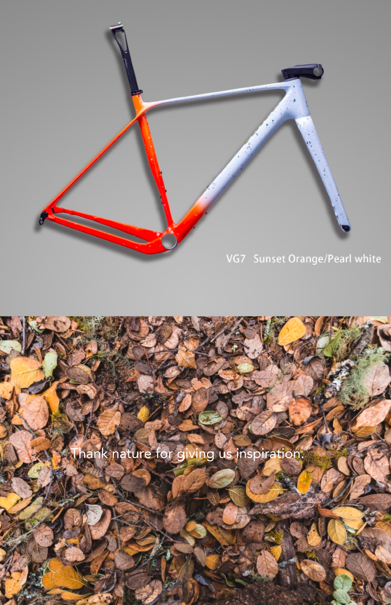 Cuadro G-Major (Gravel) - Imagen 4